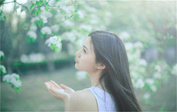寿阳验血查男女几周可以验(验血查男女结果图)